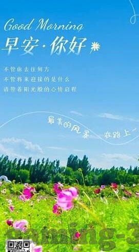 中国队世界杯出线回顾-中国队世界杯出线回顾，梦想与现实的交织