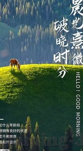 足球下暴雨比分-暴雨中的绿茵对决，一场足球赛与比分的非凡交响